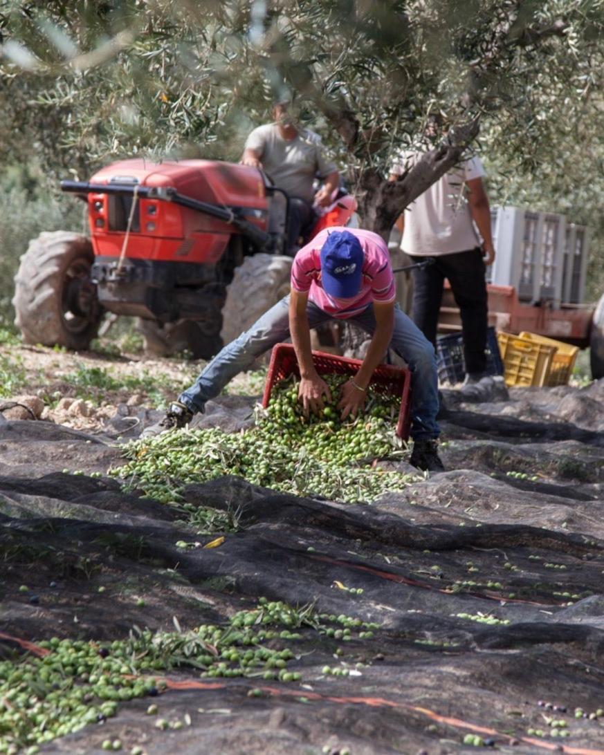 Azienda Agricola Mandranova Palma di Montechiaro Eksteriør bilde