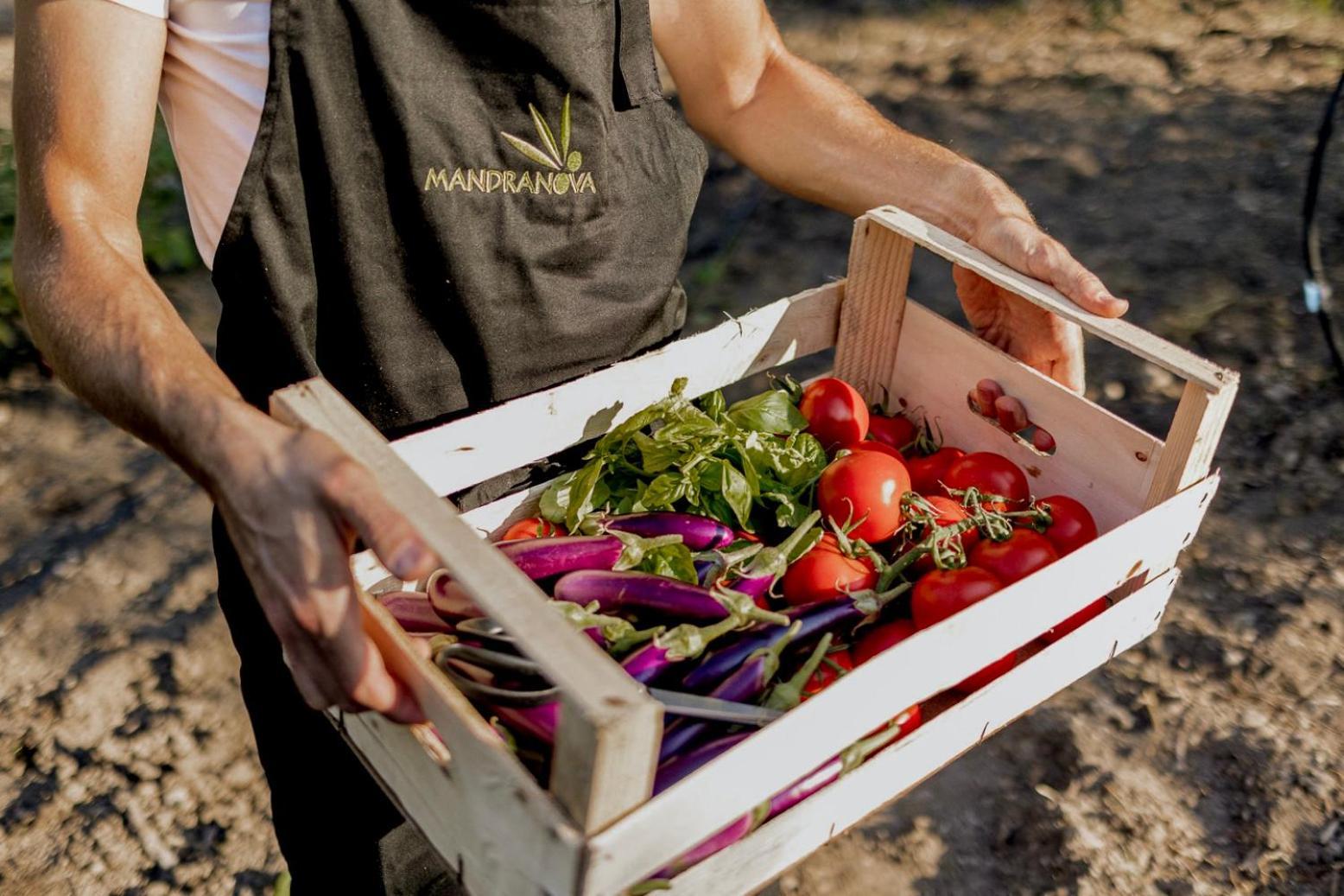 Azienda Agricola Mandranova Palma di Montechiaro Eksteriør bilde