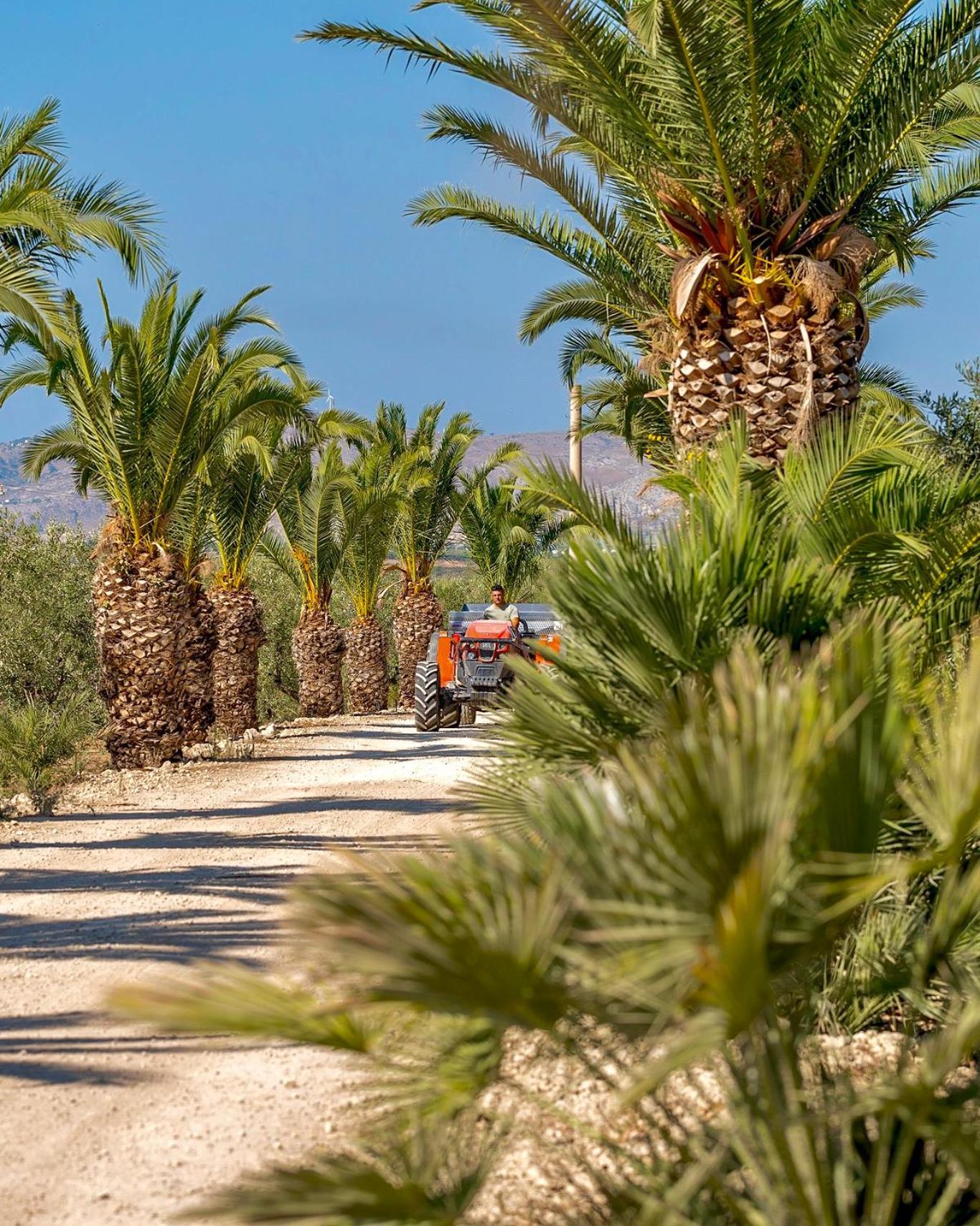 Azienda Agricola Mandranova Palma di Montechiaro Eksteriør bilde